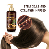 Improve Scalp Oil Control Hair Treatment Crack Conditioning care Essence Rogaine Anti Loss Shampoo Set Angelica Sinensis